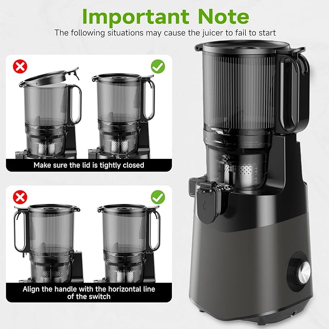 Cold Press Juicer, 5.3" Wide Feed Chute Juice Extractor Machine with 400W, High Juice Yield, Slow Masticating Juicer for Whole Vegetables & Fruits, Deep Grey-Ruum Studio Home