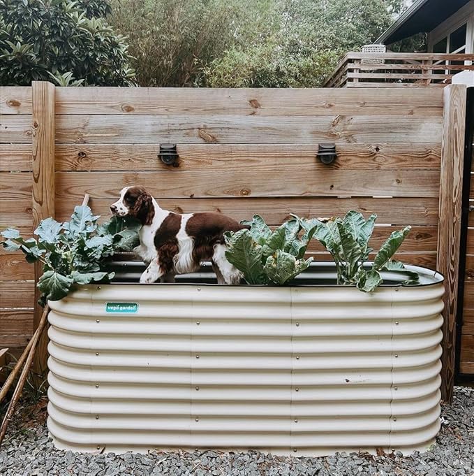 Vego garden 32" Extra Tall Raised Garden Bed Kits, 6 in 1 Modular Raised Planter Box for Vegetables Flowers Fruits Oval Metal Raised Garden Bed- Pearl White-Ruum Studio Home