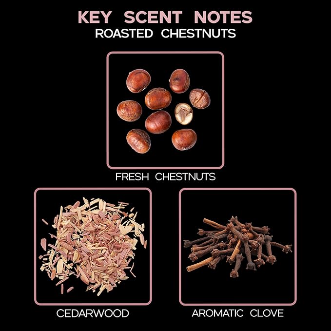 LOVSPA Reed Diffuser Set, Roasted Chestnuts Scented Oil Diffuser with Sticks, Home Fragrance Accessories for Bathroom Shelf Decor, Aroma Diffusers for Home or Office Fall Decor, USA Made-Ruum Studio Home