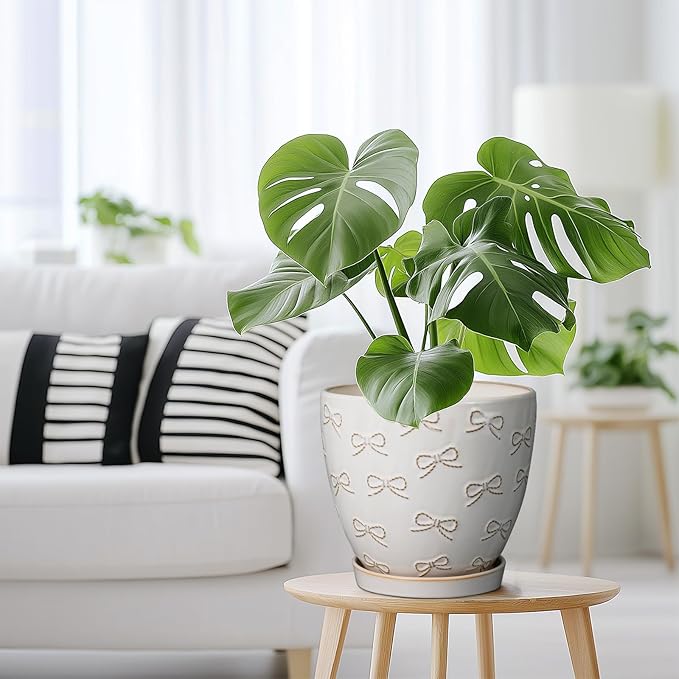 Ceramic Pots for Plants - 8 Inch Plant Pot with Drainage Hole and Saucer Large Planter Pot for Indoor Plants Outdoor Modern Flower Pot Home Decor White-Ruum Studio Home