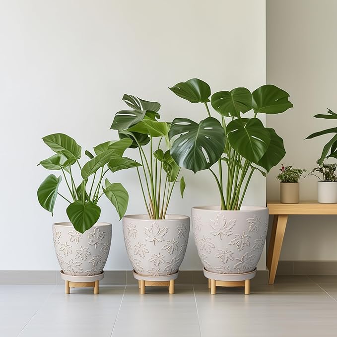 Pots for Plants 10 Inch - Ceramic Planter Large Plant Pot for Indoor Plants Outdoor Round Flower Pot with Drainage Hole and Saucer Home Garden Decor White-Ruum Studio Home