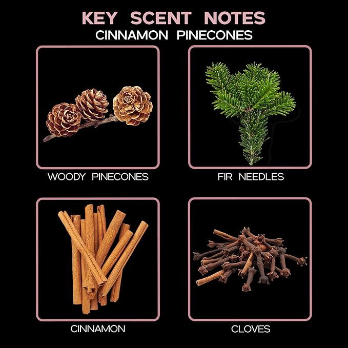 LOVSPA Reed Diffuser Set, Cinnamon Pine Cones Scented Oil Diffuser with Sticks, Home Fragrance Accessories for Bathroom Shelf Decor, Aroma Diffusers for Home or Office Desk, USA Made-Ruum Studio Home