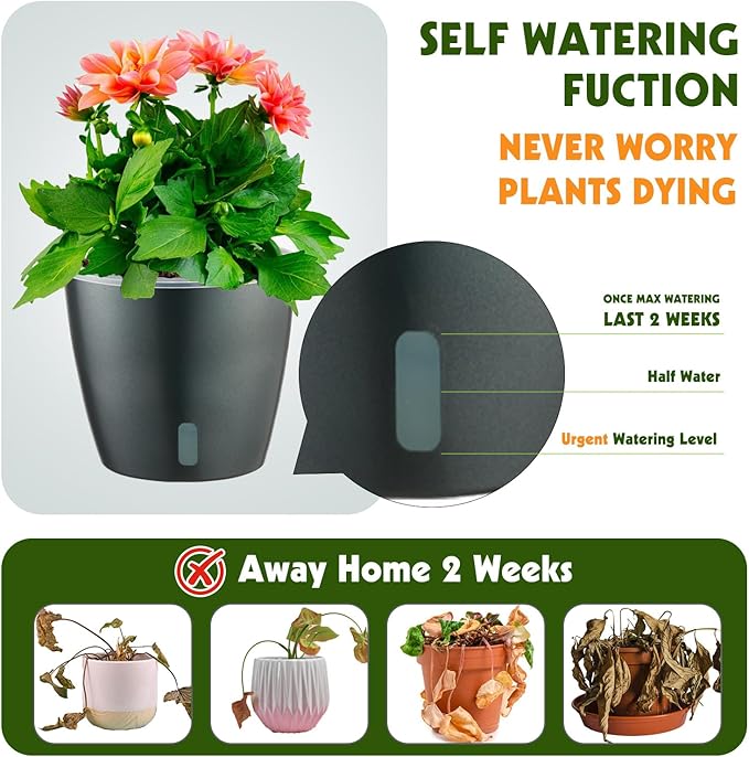 Self Watering Pots for Indoor Plants, 6-Pack 5'' Self Watering Planter with Drainage Holes, Small African Violet Pots with Water Indicator, Clear Wick Orchid Pot, Grey-Ruum Studio Home