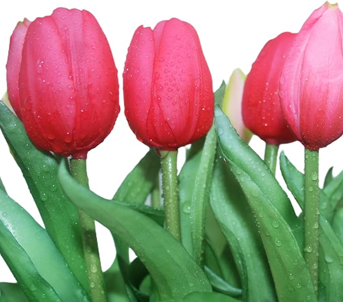 15pcs Artificial Tulips Flowers, Fake Tulips Real Touch, Faux Latex Bouquets, for Party Wedding Home Room Decoration (Rose Red)-Ruum Studio Home