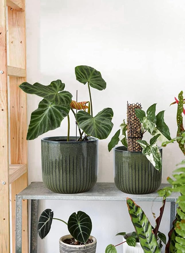 LE TAUCI Fluted Ceramic Planters Set of 3 – 8.3/7 / 5.7 in Dark Olive Reactive Cylinder Indoor Plant Pots with Drainage Plug & Mesh, Glossy Stoneware Flower Pots for Succulents Herbs-Ruum Studio Home