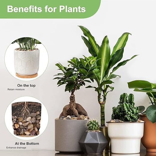 5 lbs Drainage Rocks for Potted Plants, 1/5 Inch Small Pebbles for Indoor Plants, Decorative Gravel for Vases, Bamboo, Succulent, Terrarium, Crafts, Cactus-Ruum Studio Home