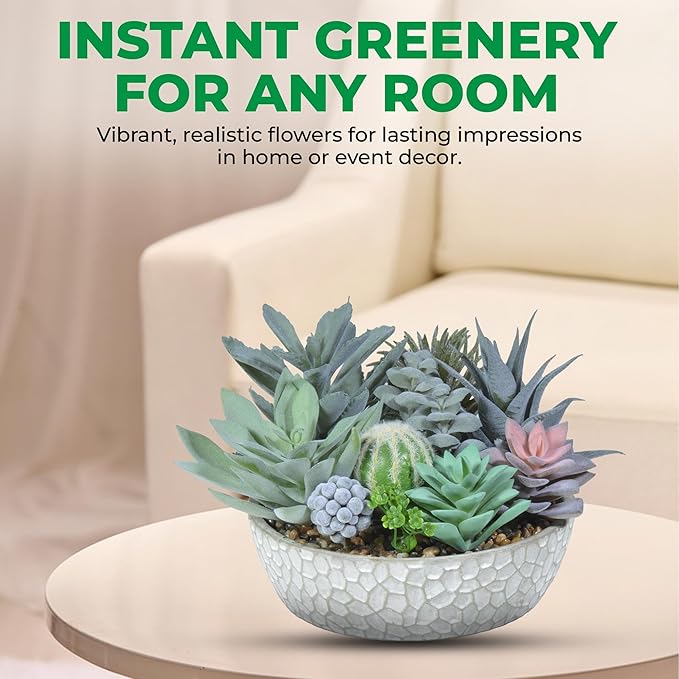 Premium Assorted Artificial Succulent Collection - Large Real Touch Artificial Cactus, Aloe Vera & Succulent Plants Artificial with Pots for Home Office Indoor (Artificial Glass - Pot)-Ruum Studio Home