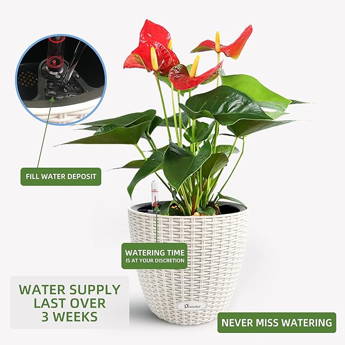 Dexceder 9x8 Inches Rattan Self Watering Planter Indoor Outdoor, Inner Pot Design, Thickened Table Flower Plant Pot with Water Level Indicator (Ivory White)-Ruum Studio Home