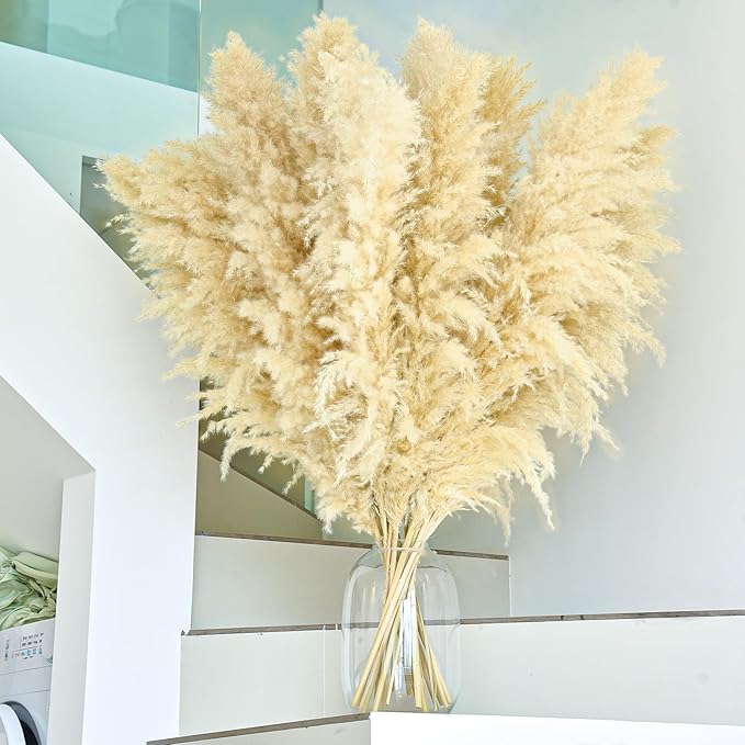 46" inch 11 Stems Natural Pampas Grass Tall Decor,Pompas Grass,Large Beige Tall Pampas Grass for Floor Vase,Wedding Decorations,Party,Boho Home Decor,and Creating a Boho Ambiance-Ruum Studio Home