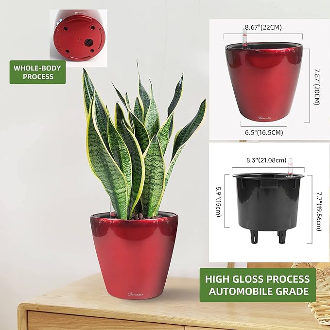 Dexceder 9x8 Inches High Gloss Self Watering Planter Indoor Outdoor, Inner Pot Design, Thickened Table Flower Plant Pot with Water Level Indicator (Red)-Ruum Studio Home
