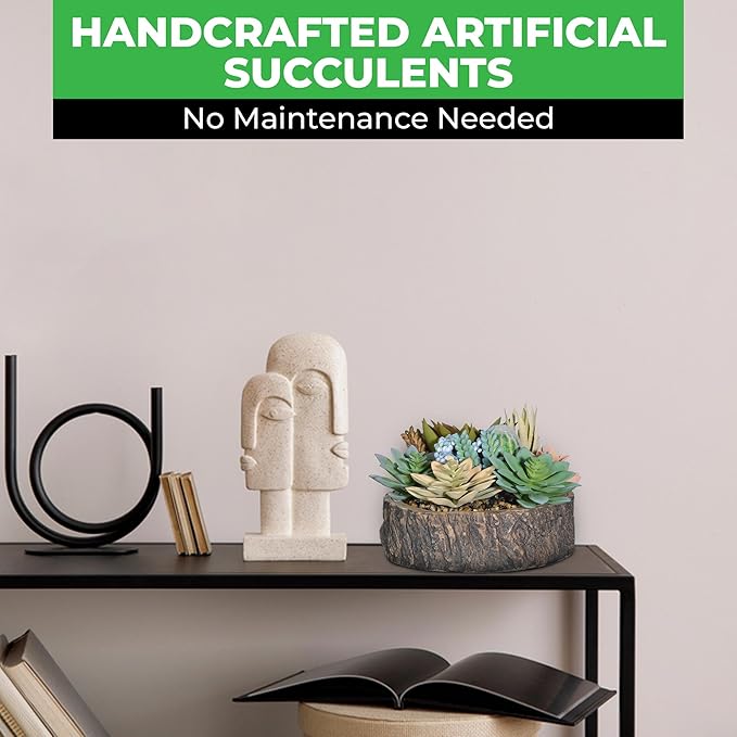 Premium Assorted Artificial Succulent Collection - Large Real Touch Artificial Cactus, Aloe Vera & Succulent Plants Artificial with Pots for Home Office Indoor (Artificial Tree Stump - Pot)-Ruum Studio Home