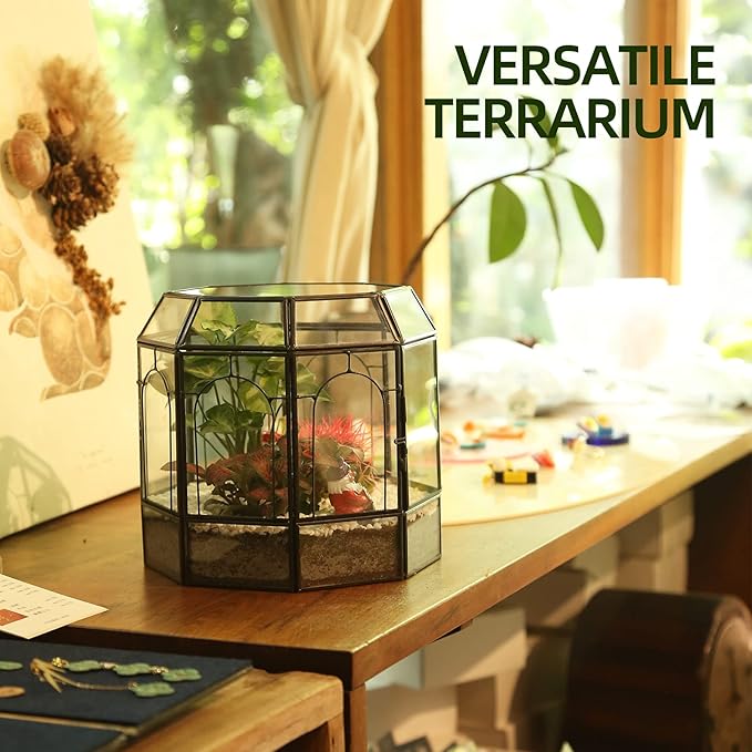 Large Glass Terrarium Handmade, Centerpiece Display Box Gift Planter Containers Indoor Terrariums House for Succulent Cacti Air Plants Miniature Fairy Garden-Ruum Studio Home