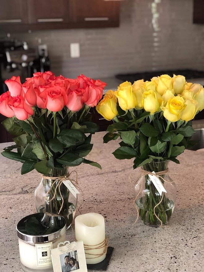 Floral Supply Online - 8" Clear Rose Vase and Flower Guide Booklet - Decorative Glass Flower Vase for Floral Arrangements, Weddings, Home Decor or Office.-Ruum Studio Home