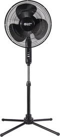 Comfort Zone Electric Oscillating Pedestal Fan, Stand Fan, 16 inch, 3 Speed, 90 Degree Oscillating Head, Adjustable Height and Tilt, Airflow 7.48 ft/sec, Ideal for Home, Bedroom & Office, CZST161BTEBK-Ruum Studio Home