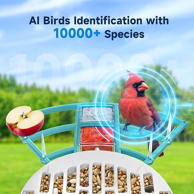 Smart Bird Feeder with Camera, 2K HD Bird Feeders for Outdoors with Solar Panel, Al Identification, Idea Gift, Blue-Ruum Studio Home