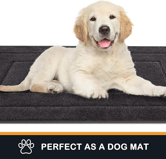 PURRUGS Dirt Trapping Door Mat 24" x 59", Non-Slip/Skid Machine Washable Entryway Rug, Dog Doormat, Super Absorbent Welcome Mat for Muddy Wet Shoes and Paws, Charcoal-Ruum Studio Home