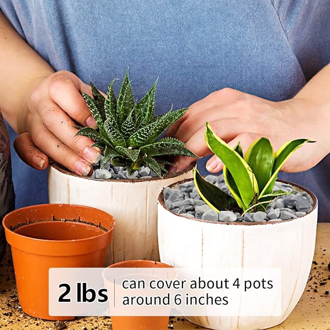 2LB Succulent and Cactus Gravel Pebbles, 1/5 Inch Natural Decorative Polished Stones, River Rocks for Plants, Vases, Aquariums, Terrarium and Outdoor Gardening,Grey-Ruum Studio Home