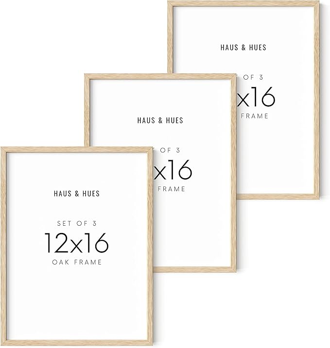 HAUS AND HUES Beige Wood Oak 12x16 Picture Frame, Set of 3 - Modern Wood Wall Art Display - Lightweight 12x16 Frame Set of 3 for Art Prints, Photos, Posters - Ready-to-Hang Vertically & Horizontally-Ruum Studio Home