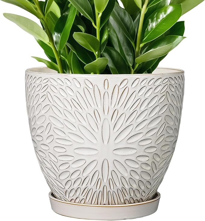G EPGardening 10 Inch Ceramic Planter Pot with Drainage Hole and Saucer Large Plant Pot for Indoor Plants Outdoor Round Flower Pot for Home Garden Office White-Ruum Studio Home