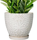 G EPGardening 10 Inch Ceramic Planter Pot with Drainage Hole and Saucer Large Plant Pot for Indoor Plants Outdoor Round Flower Pot for Home Garden Office White-Ruum Studio Home
