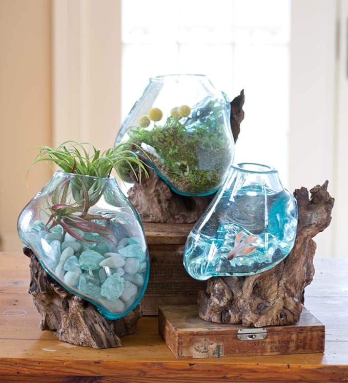 Hand Blown Molten Glass & Teak Wood Terrarium/Vase/Fish Bowl - Premium Quality (12" - 14" High)-Ruum Studio Home