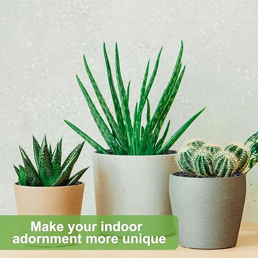 5 lbs Pebbles for Indoor Plants, Succulent, Cactus, 1/5 Inch Small Lava Rock for Plants Drainage, Natural Horticultural Volcanic Rock, Top-Dressing-Ruum Studio Home