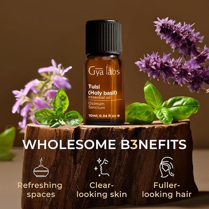 Gya Labs Holy Basil (Tulsi) Essential Oil - 0.34 Fl Oz - 100% Pure Natural Holy Basil Oil for Diffuser & Candle Making Scent-Ruum Studio Home