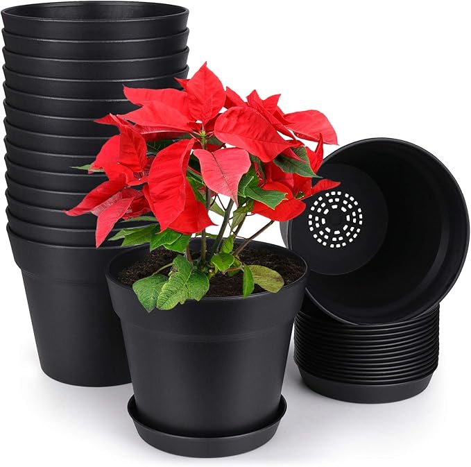 homenote Pots for Plants, 15 Pack 6 Inch Plastic Planters with Multiple Drainage Holes and Tray,Plant Pots for All Home Garden Flowers Succulents (Black)-Ruum Studio Home