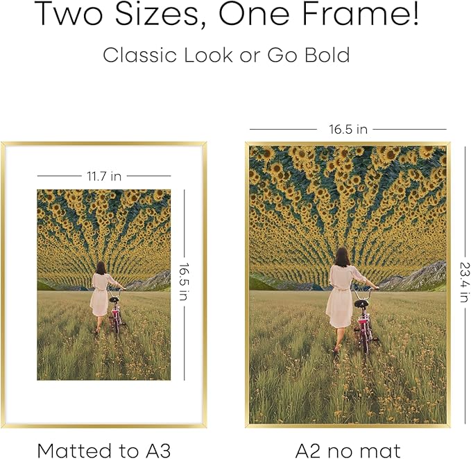 Homeforia A2 Picture Frame Gold, High End Metal 16.5 x 23.5 inches Poster Frames with Mat 11.7 x 16.5 for Photo, A2 Size Frames Matted to A3 Print, 16.5 by 23.4 Hanging Frame, Tempered Glass, Set of 1-Ruum Studio Home