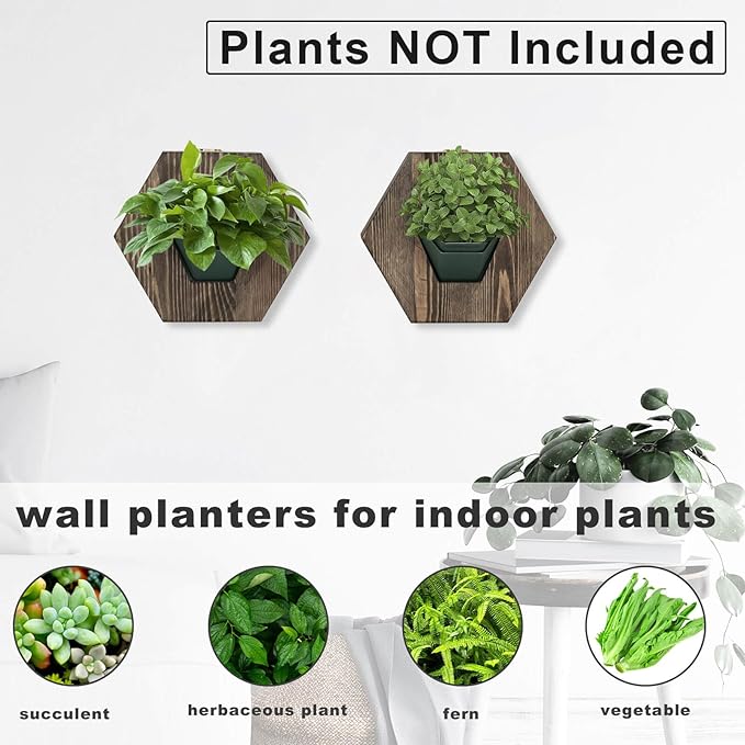 Hexagonal Wooden Wall Planter, Self Watering Living Vertical Planter Indoor, Wooden Frame Planter Wall Decoration Home Office,2pc Walnut-Ruum Studio Home