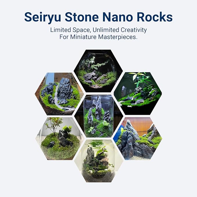 Dragon Stone Aquarium Rock Seiryu Stone for Aquariums, Fish Tanks, Bonsai, Terrariums, Wargaming Dioramas, Indoor or Outdoor Gardens-40Lb(2-10 Inch)-Ruum Studio Home