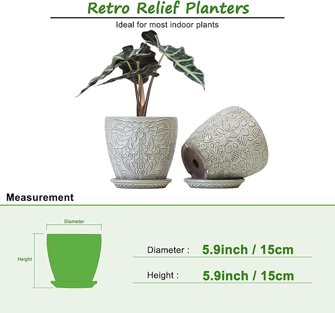 6 Inch Ceramic Planter Pots with Drainage Hole and Saucers for Indoor Plants, Garden Pots for Succulent, Orchid, and Flower - Set of 2-Ruum Studio Home