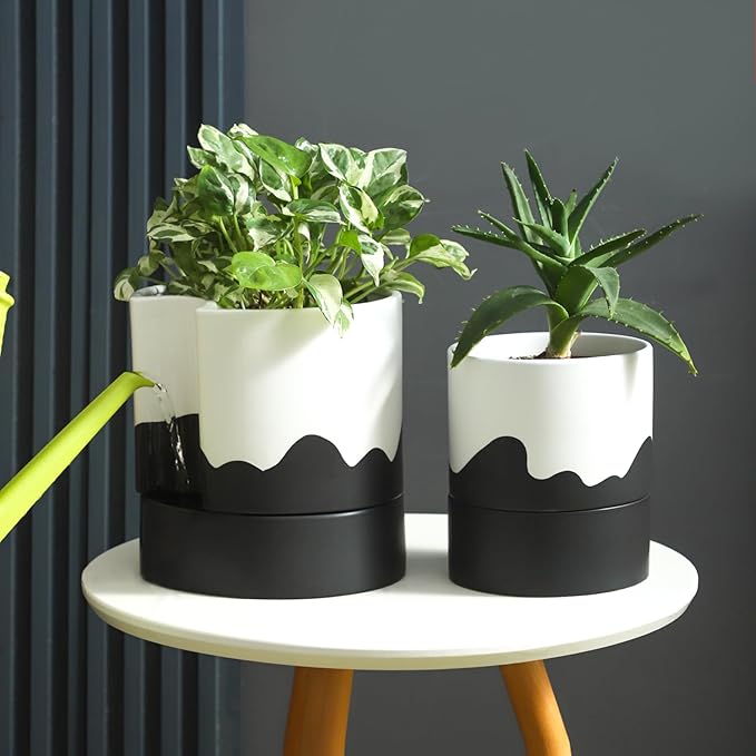 Nihow Self Watering Plant Pot: 8 Inch Ceramic Planter with Drainage Hole & Water Storage Plus for Indoor & Outdoor Plants - Cylinder Round Flower Pot for Succulent/Herbs/Violets - White & Wave Black-Ruum Studio Home