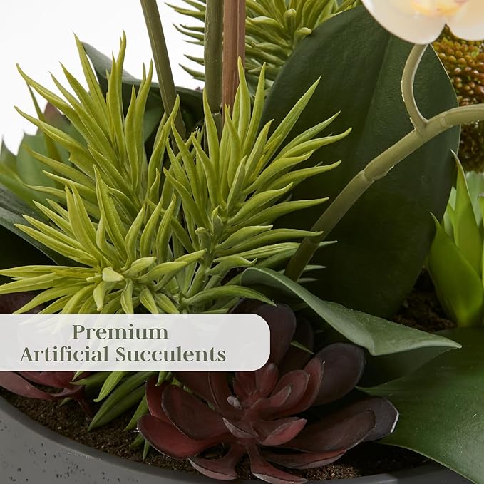 Faux Orchid Plant w/Succulents, Premium Artificial Indoor Flower Display Stands 24” w/Beautiful Sculptural Blooms and Succulents That Lasts Forever, Grey Planter Pot Included-Ruum Studio Home