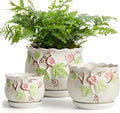 Ceramic Plant Pots with Drainage Holes and Saucers, Round Flower Pots for Indoor Plant, 3.9/5.2/6.7 Inches Small Flower Planters Set of 3-Ruum Studio Home