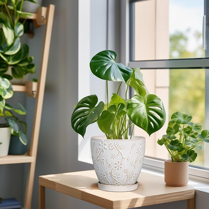 6 Inch Ceramic Plant Pot for Indoor Plants Outdoor Round Planter Flower Pot with Drainage Hole and Saucer for Home Garden Office Decor White-Ruum Studio Home