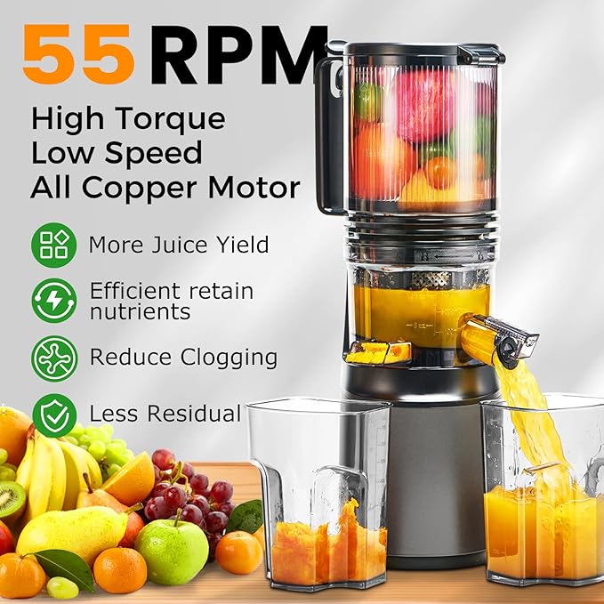 Cold Press Juicer,Slow Masticating Juicer Machines with 5.3" Large Feed Chute for Most Fruits and Vegetables,Easy to Clean Lemon Orange juicer with 250W Motor and High Juice Yield,Metal Gray-Ruum Studio Home