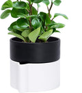 Phoenix Vine 6.5 Inch Self-Watering Planter Pot with Terracotta Insert, Deep Water Reservoir, and Ceramic-Alike BPA-Free Plastic Pot for Plant, Modern Planter for Houseplants, White/Black, 53-B-S-4-Ruum Studio Home