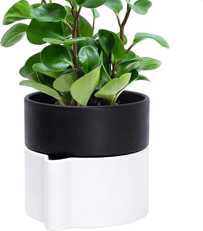 Phoenix Vine 6.5 Inch Self-Watering Planter Pot with Terracotta Insert, Deep Water Reservoir, and Ceramic-Alike BPA-Free Plastic Pot for Plant, Modern Planter for Houseplants, White/Black, 53-B-S-4-Ruum Studio Home