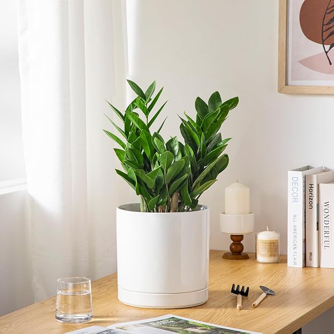 vancasso Ceramic Plant Pots, 8.25 Inch Ceramic Pot for Plants, Planters Pots for Indoor Plants with Drainage Holes, Flower Pot for Indoor House Plant, White-Ruum Studio Home