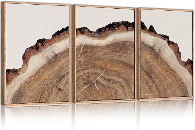 HPINUB Framed Tree Rings Wood Wall Art Set, Modern Beige Wood Stump Wall Decor, Abstract Black and Gray Tree Spiral Wall Painting, Nature-Inspired Art Print for Living Room, Bedroom, Office-24"x36"x3-Ruum Studio Home