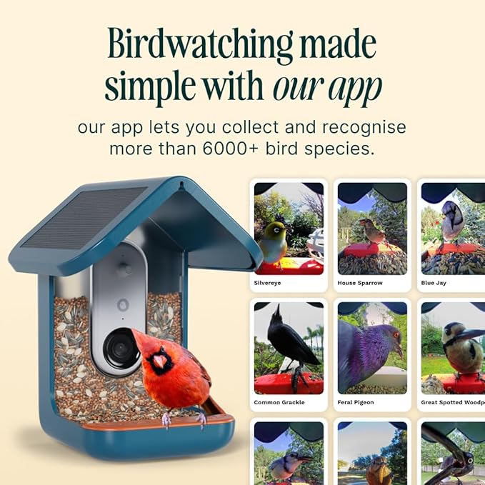 Birdbuddy PRO Solar Smart Bird Feeder with Camera - AI Bird Species Identification, 5MP Photos, 2K HD Video Live Stream Camera, Slow-Motion Video, 2.6in Focus - Blue Solar-Ruum Studio Home