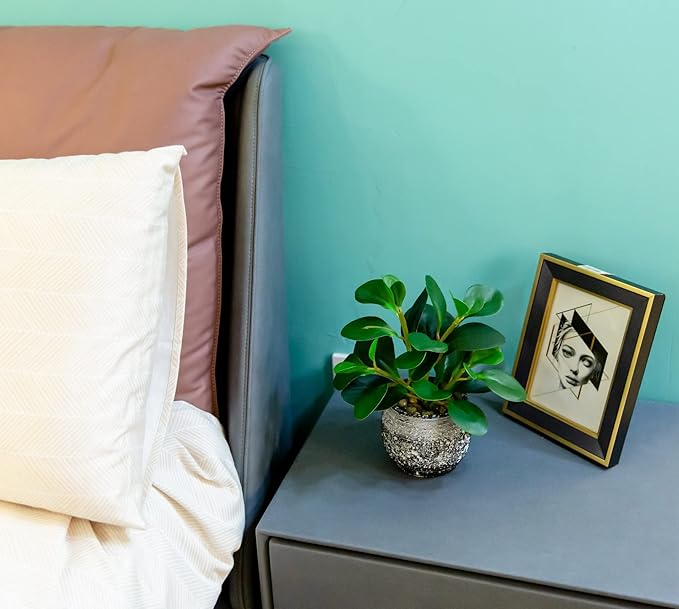 AlphaAcc Artificial Plants Potted Real Looking Small Faux Plant with Rustic Black Cement Planter for Kitchen Office Desk Bookshelf Decor (Ficus Plant)-Ruum Studio Home