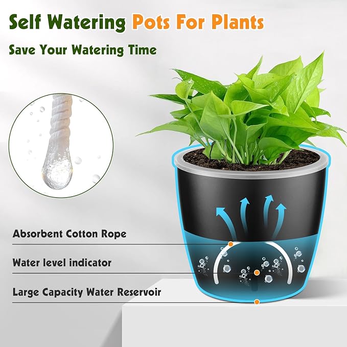 Self Watering Pots for Indoor Plants, 6-Pack 5'' Self Watering Planter with Drainage Holes, Small African Violet Pots with Water Indicator, Clear Wick Orchid Pot, Black-Ruum Studio Home