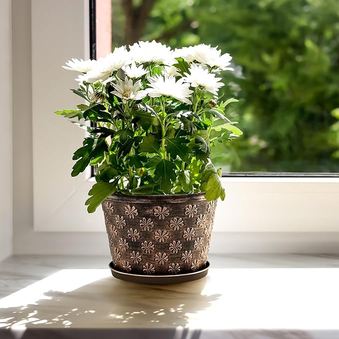 8 Inch Planter Pots for Plants, Plastic Flower Pots Indoor Outdoor, 5 Pack Resin Plant Pot with Drainage & Saucer, Retro Decorative Garden Pot with Removable Trays for House-Ruum Studio Home