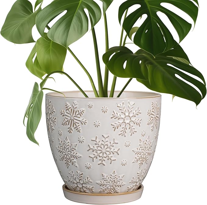 Ceramic Planter 8 Inch Plant Pot with Drainage Hole and Saucer Ceramic Pots for Indoor Plants Outdoor Large Flower Pot for Home Decor White-Ruum Studio Home