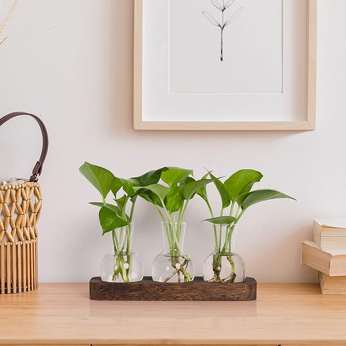 YIBOT Propagation Stations,Plant Propagation Vase,Desk Plant Terrarium with Retro Wooden Stand,Plant Lover Gifts for Women for Hydroponics Plants Home Garden Wedding Decor(3 Vase)-Ruum Studio Home