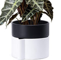8 Inch Self-Watering Planter Pot with Terracotta Insert, Deep Water Reservoir, and Ceramic-Alike BPA-Free Plastic Planter Pot for Plant, Modern Planter for Houseplants, White/Black, 53-B-T-4-Ruum Studio Home