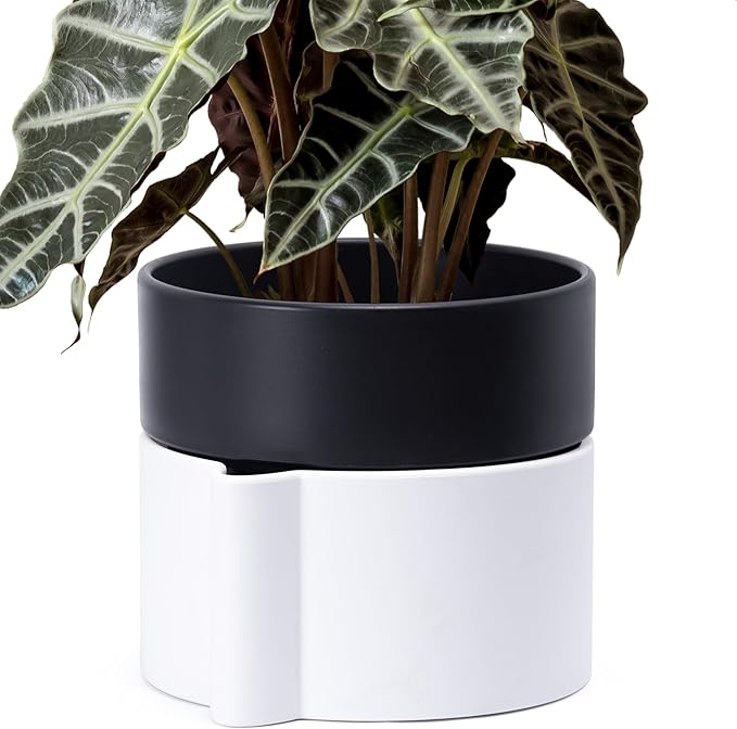 8 Inch Self-Watering Planter Pot with Terracotta Insert, Deep Water Reservoir, and Ceramic-Alike BPA-Free Plastic Planter Pot for Plant, Modern Planter for Houseplants, White/Black, 53-B-T-4-Ruum Studio Home