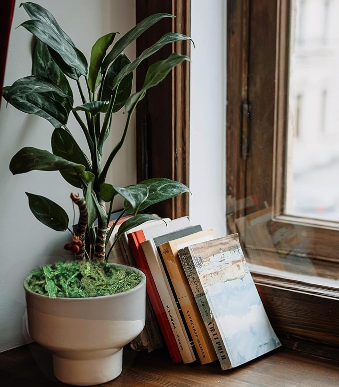 35 OZ Artificial Moss for Fake Plants and Planters - Decorative Faux Moss for Craft and Home Decor-Ruum Studio Home